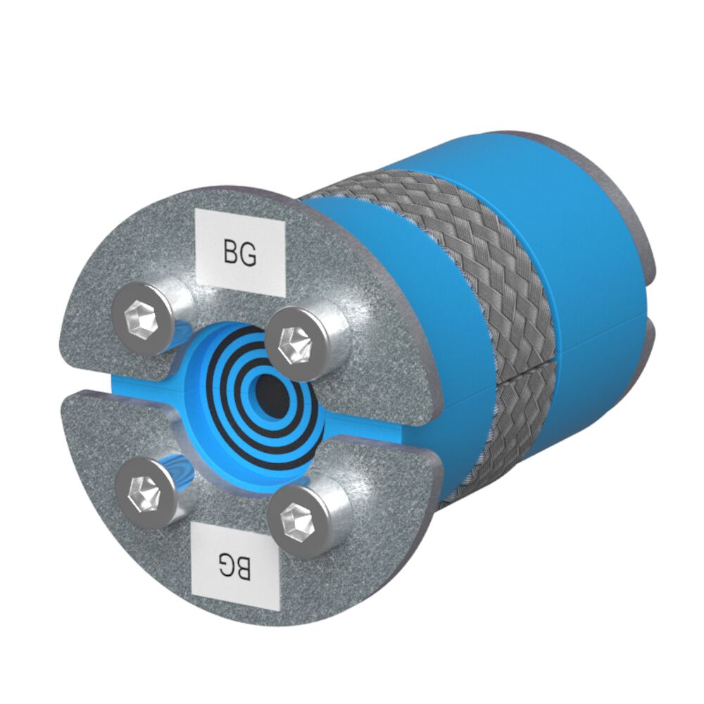 RS 25 BG AISI316